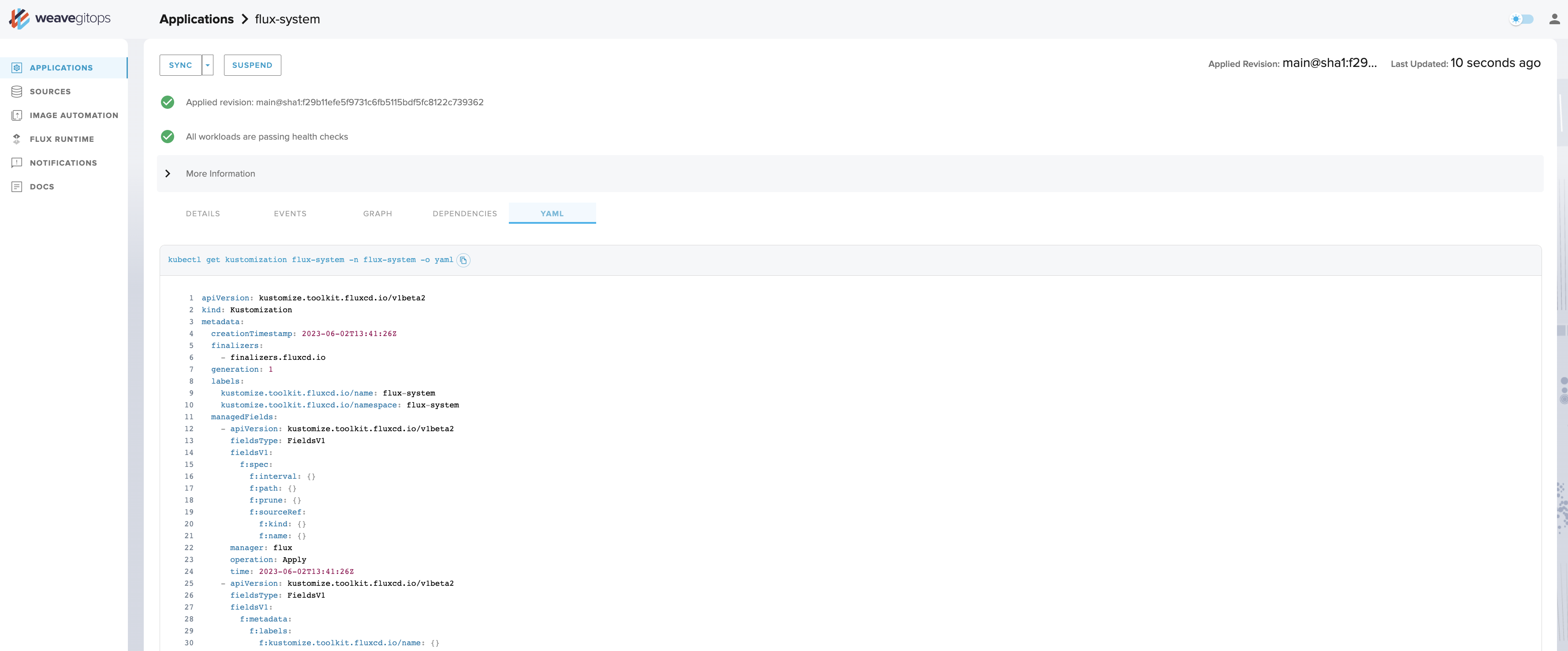 Application detail view showing the yaml display